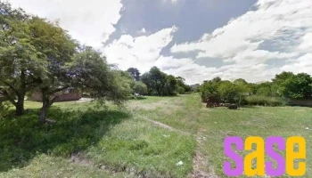 Cabeza de Tigre - Santa Sylvina