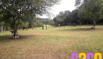Chacra N 2 Iea N 1 - Bonpland