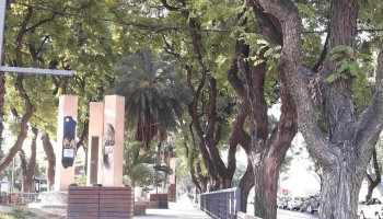 Colegio e Instituto Superior San Nicolás de Bari - Eve