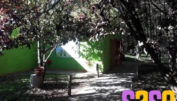 Colegio Verde Limón - Nivel Inicial y Primario - Cipolletti