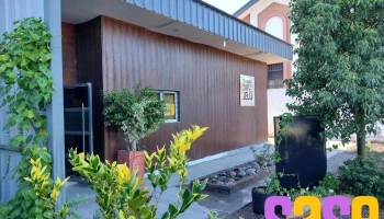 Complejo Educativo Artístico Jelú - San Juan