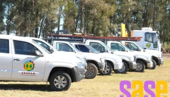 Cooperativa Electrica Rivadavia Ltda - Selva