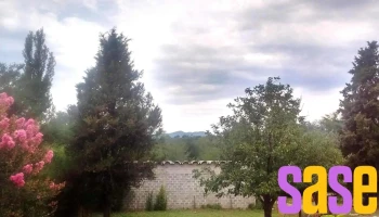Electro Ycho Cruz - Villa Icho Cruz
