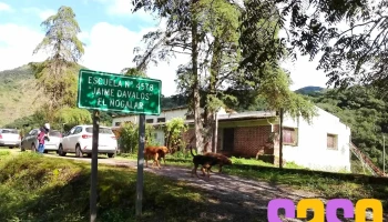 Escuela Jaime Dávalos - Chicoana
