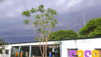 Escuela Secundaria Lola Mora - Burruyacú