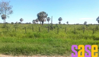 Fm 104.9 - Formosa