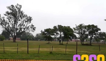 Fm Nuevo Horizonte 99.1 Mhz - Argentina