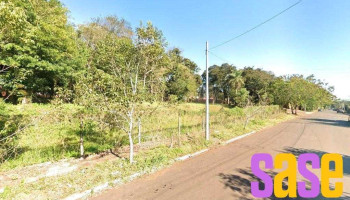 Instituto Mariano Pachecoy - Los Cedros 78