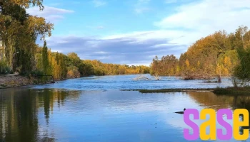 Los Canales de Plottier - Plottier
