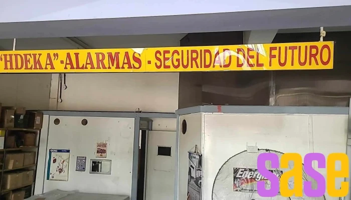 Activacion Autom A Distancia Hdeka Fab Automat Reparacion Del Propietario - San Juan