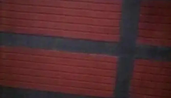 Adp Sonido Iluminacion Videos - Salsacate