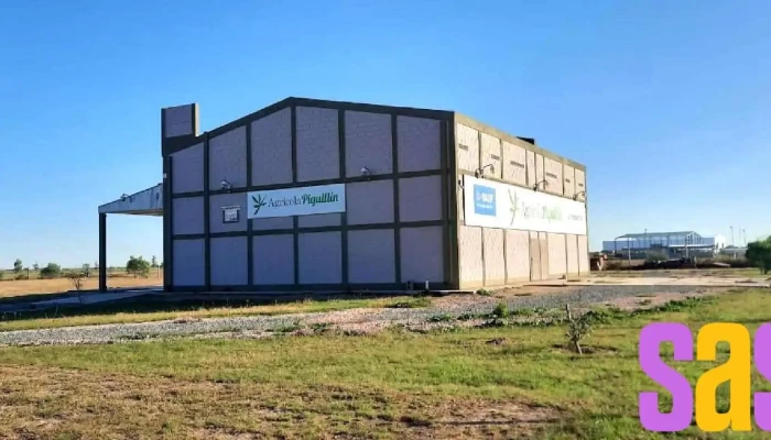 Agricola Piquillin Srl Del Propietario - Piquillín