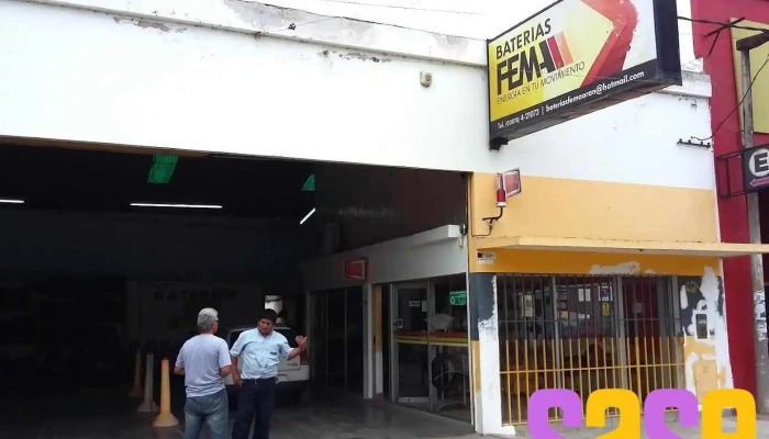 Baterias Fema - San Ramon De La Nueva Oran