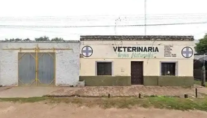 Calul Dpto De Electrificacion Rural Abierto Ahoradeg - Sáenz Peña