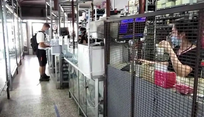 Celsius Argentina -  Videos - Córdoba