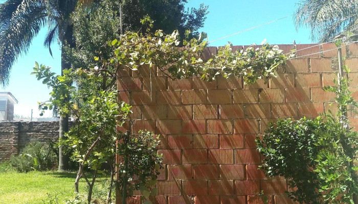 Chanar Ladeado Ubicacion - Chañar Ladeado