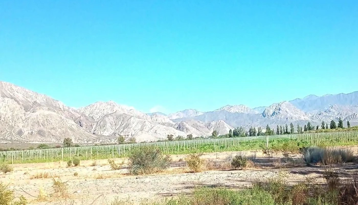 Cic Zonda -  Villa Basilio Nievas - Villa Basilio Nievas