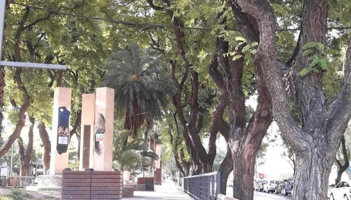 Colegio e Instituto Superior San Nicolás de Bari - Eve