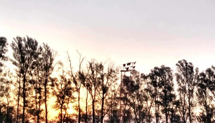 Complejo Polideportivo El Galpon Donde - Galpon