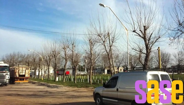 Dg - Servicios Eléctricos - Crespo