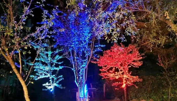 Diucon Led -  Del Propietario - San Carlos de Bariloche