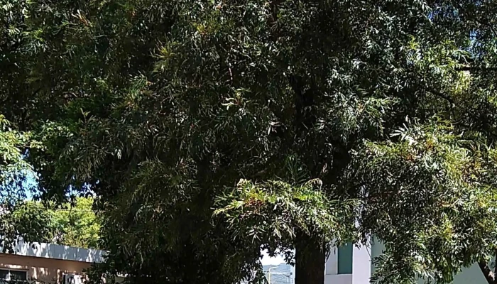 Ec Sapem -  Donde - San Fernando del Valle de Catamarca