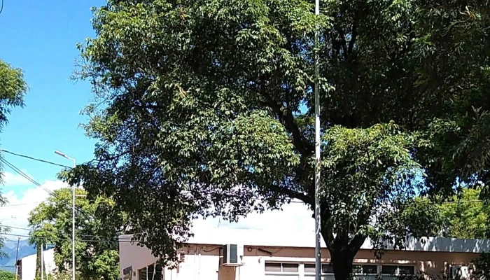 Ec Sapem -  Promocion - San Fernando del Valle de Catamarca
