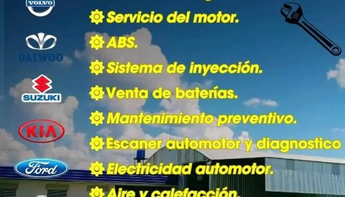 Electricidad Automotor Car Electrician Bovril -  Descuentos - Bovril