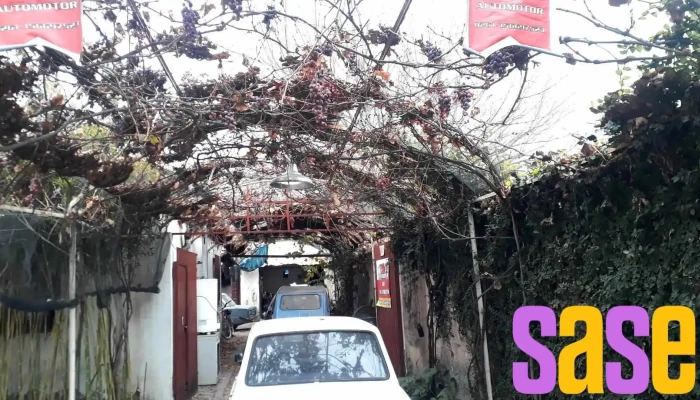 Electricidad Del Automotor Bautista -  Zona - Luján de Cuyo