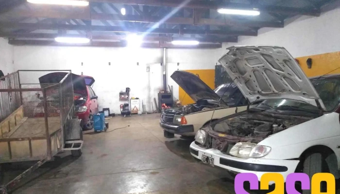 Electricidad Del Automotor David -  Catalogo - El Hoyo