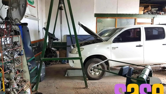 Electricidad Del Automotor Johny -  Taller - Neuquén