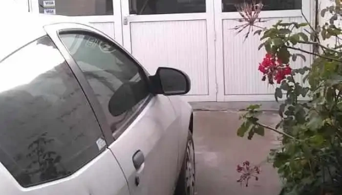 Electricidad Del Automovil El Zorro Del Propietario - Villa Regina