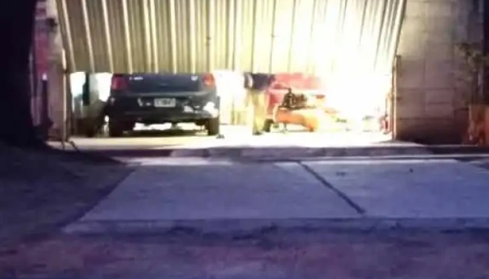 Electricidad Y Electronica Del Automotor -  Del Propietario - San Carlos Minas
