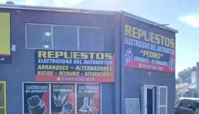 Electricidad Y Electronica Del Automotor Pedro Del Propietario - Córdoba