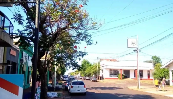Electro Misiones Express -    Apostoles Promocion - Apóstoles