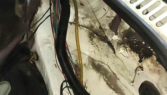 Electrocar Ledesma -  Videos - Tabossi