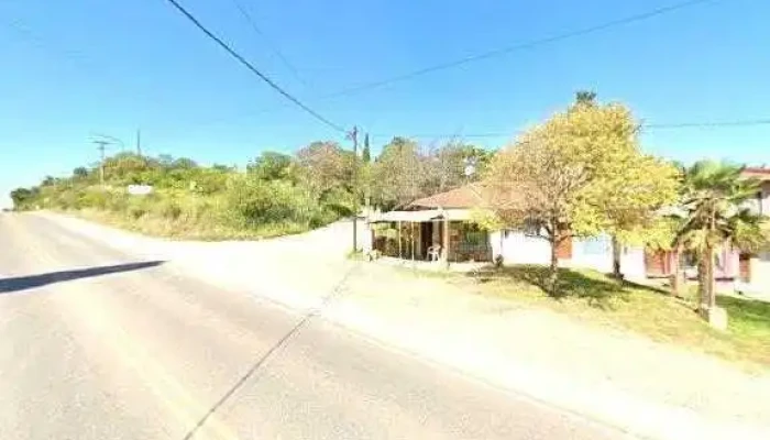Electronica Ani -  Mi Preciosdeg - La Granja