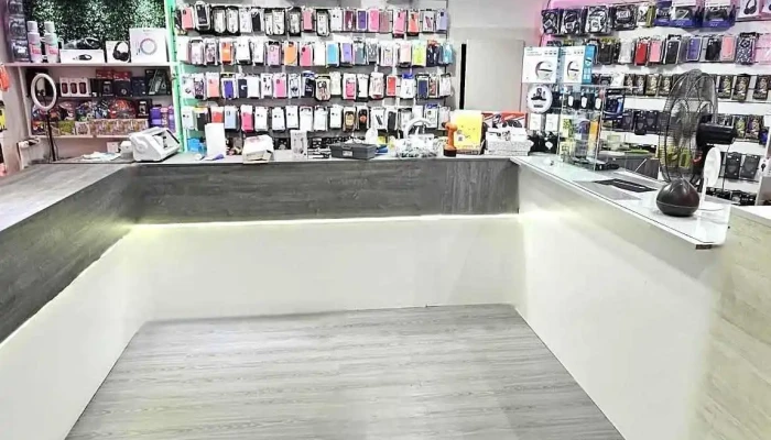 Electronica Baigorria -  Interior - Granadero Baigorria