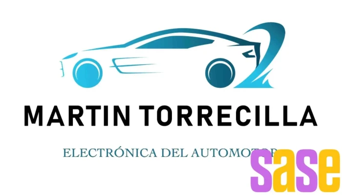 Electronica Del Automotor -   Martin Torrecilla Del Propietario - Alta Gracia