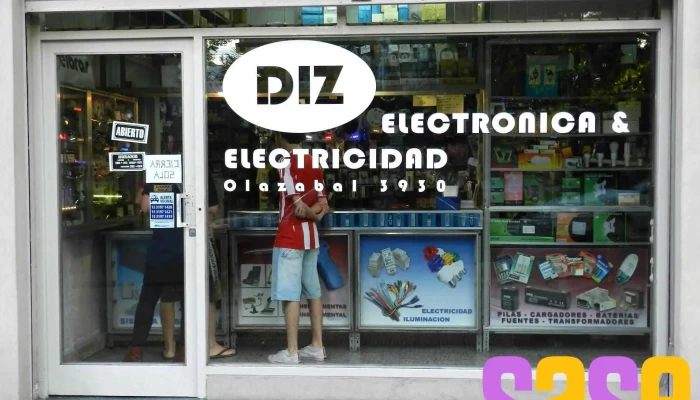 Electronica Diz Del Propietario - Bqs