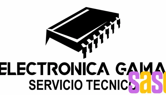 Electronica Gama Del Propietario - Esquel