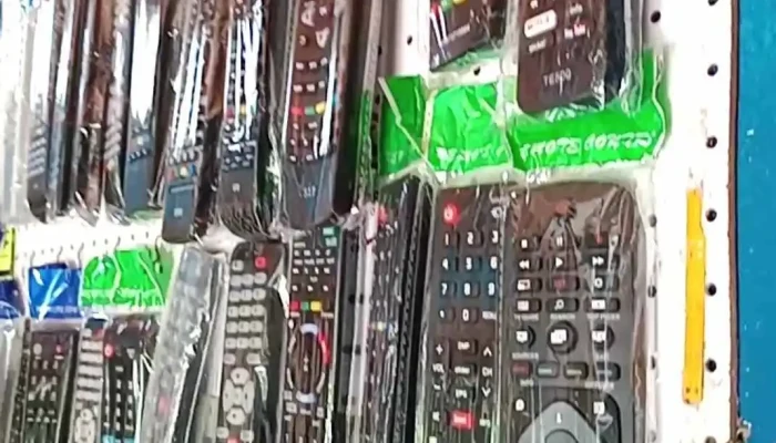 Electronica Rd Videos - Villa Ocampo