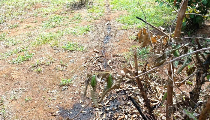 Energia De Misiones Cerca De Mi - Posadas