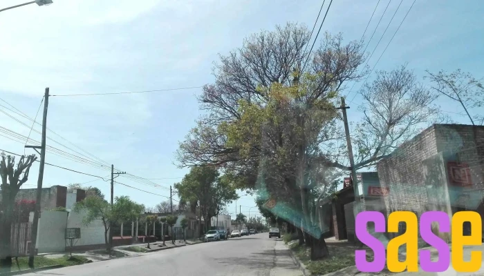 Escuela Dalmacio Velez Sarfield - Vélez Sársfield 401-499