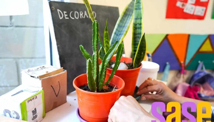 Escuela Primaria La Alegría de Aprender - Santa Rosa De Calamuchita