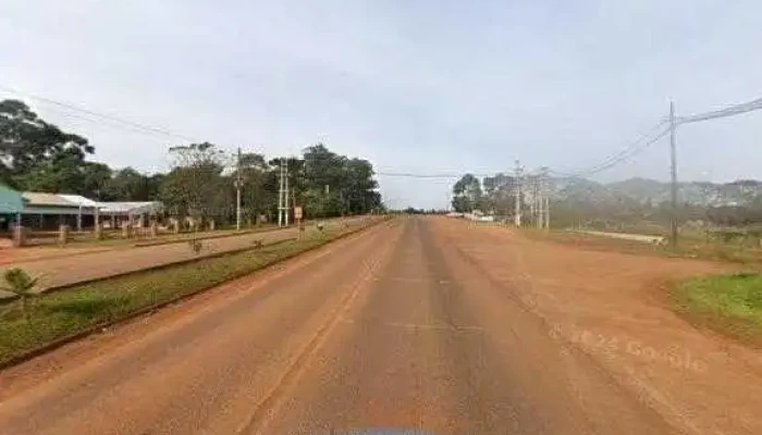 Et San Vicente Energia De Misiones Catalogo - San Vicente