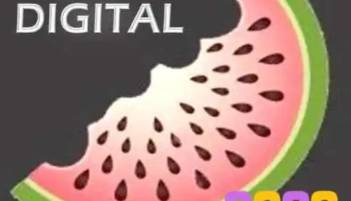Fase Digital -  Del Propietario - San Juan