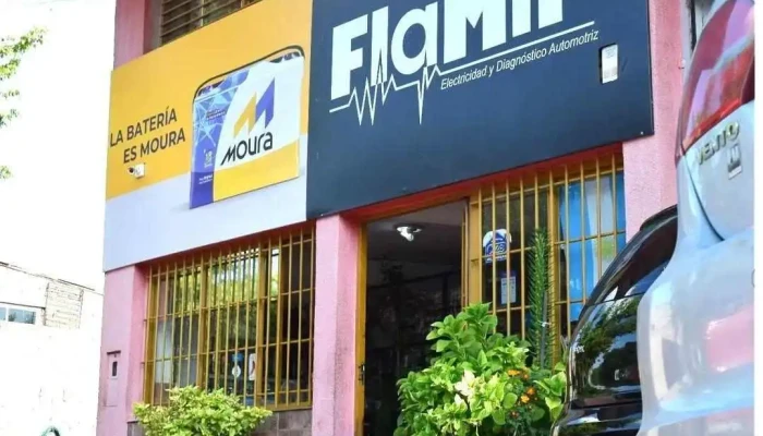 Flamir Electricidad Horario - Tupungato