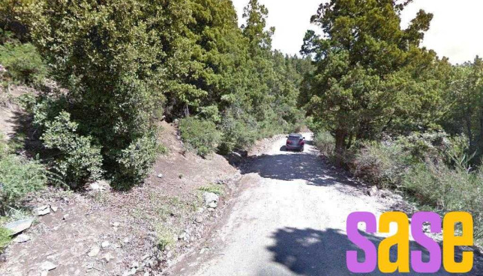 Fm Cadena Sur - San Mart N De Los Andes