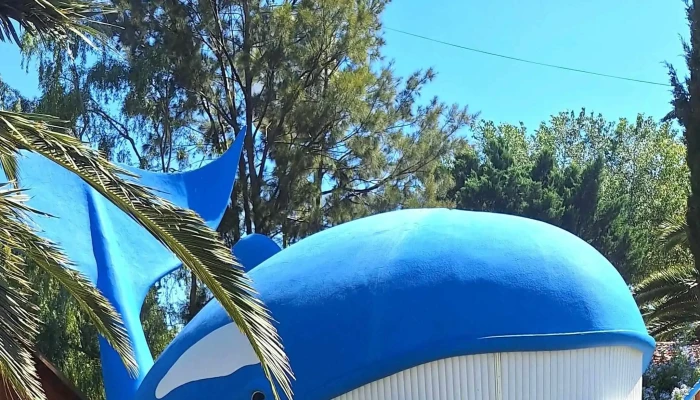 Fm Ibatin 1043 Mhz Cerca De Mi - Monteros